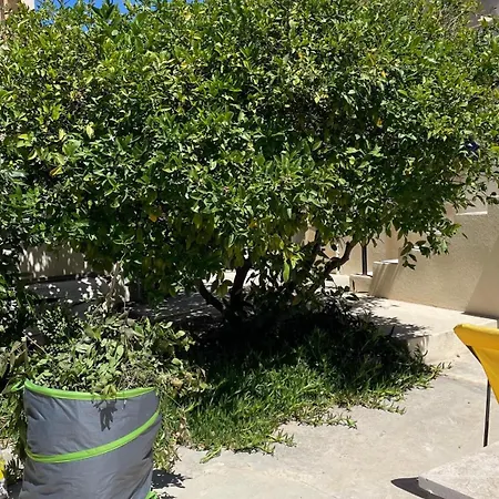 Maison Et Jardin *
